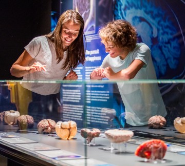 Body Worlds