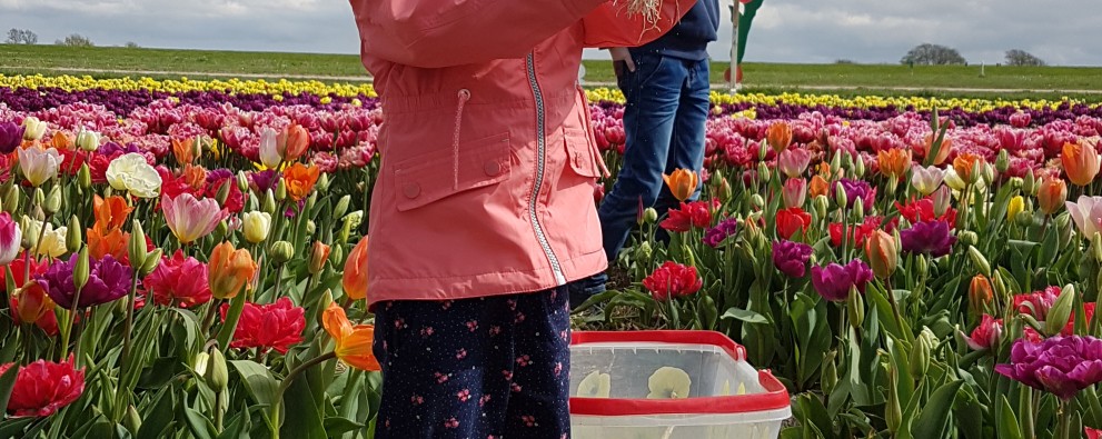 20170408_145022_1.jpg