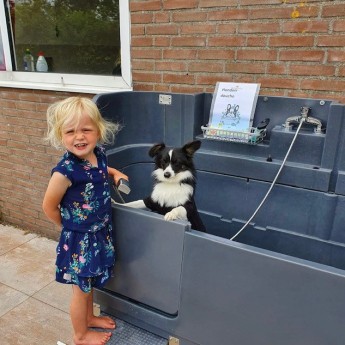 Honden douche - Sint Maartenszee