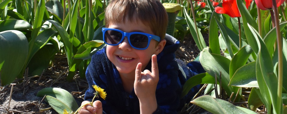 Jake in de tulpen.JPG